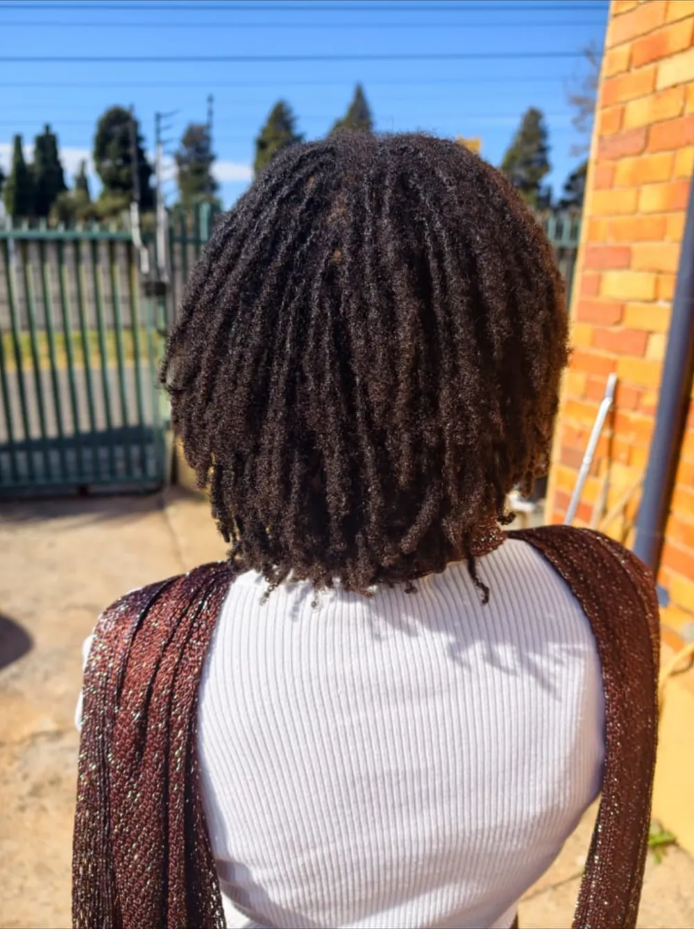 Shoulder-length micro locs from behind