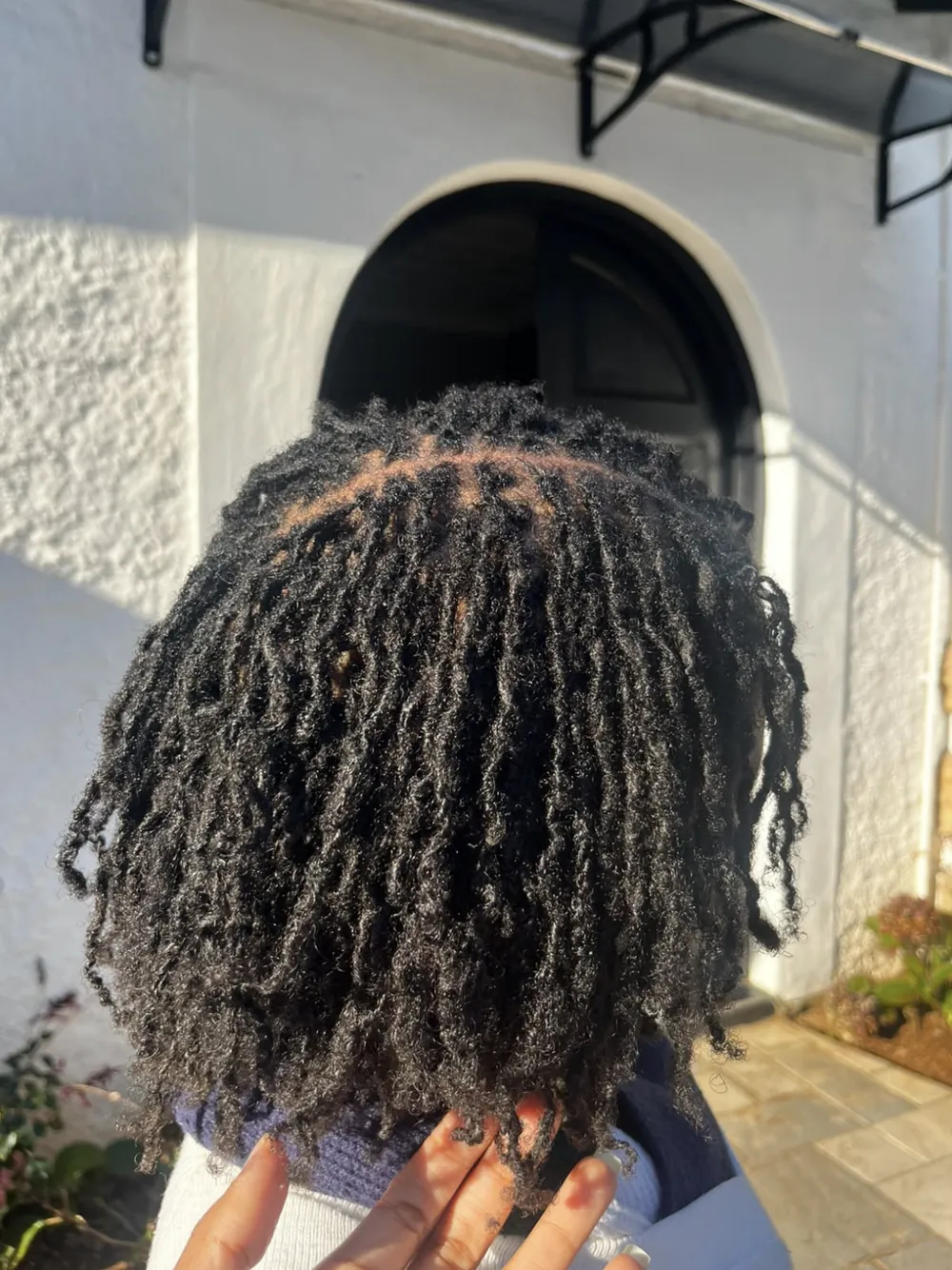 Full head of micro locs, back view